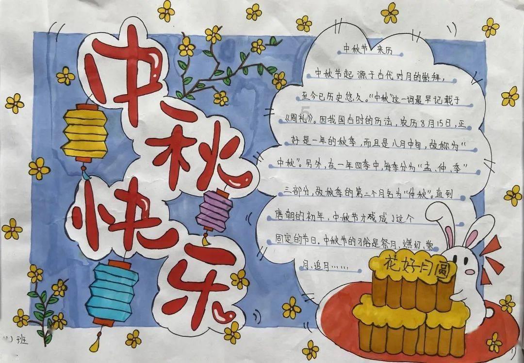 救援呆萌的猫